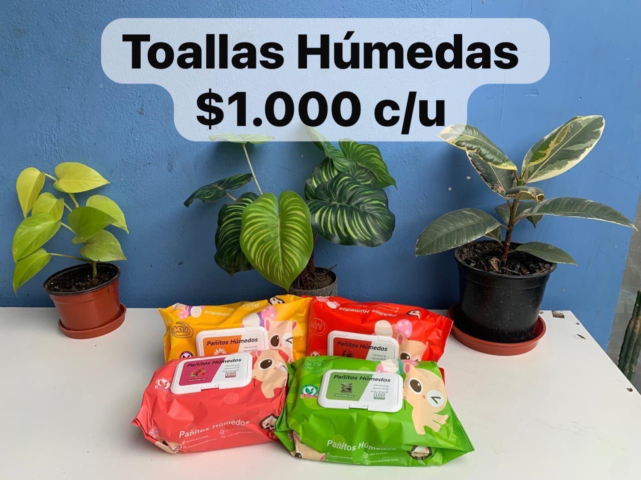 Pañitos húmedos en paquetes de distintos colores
